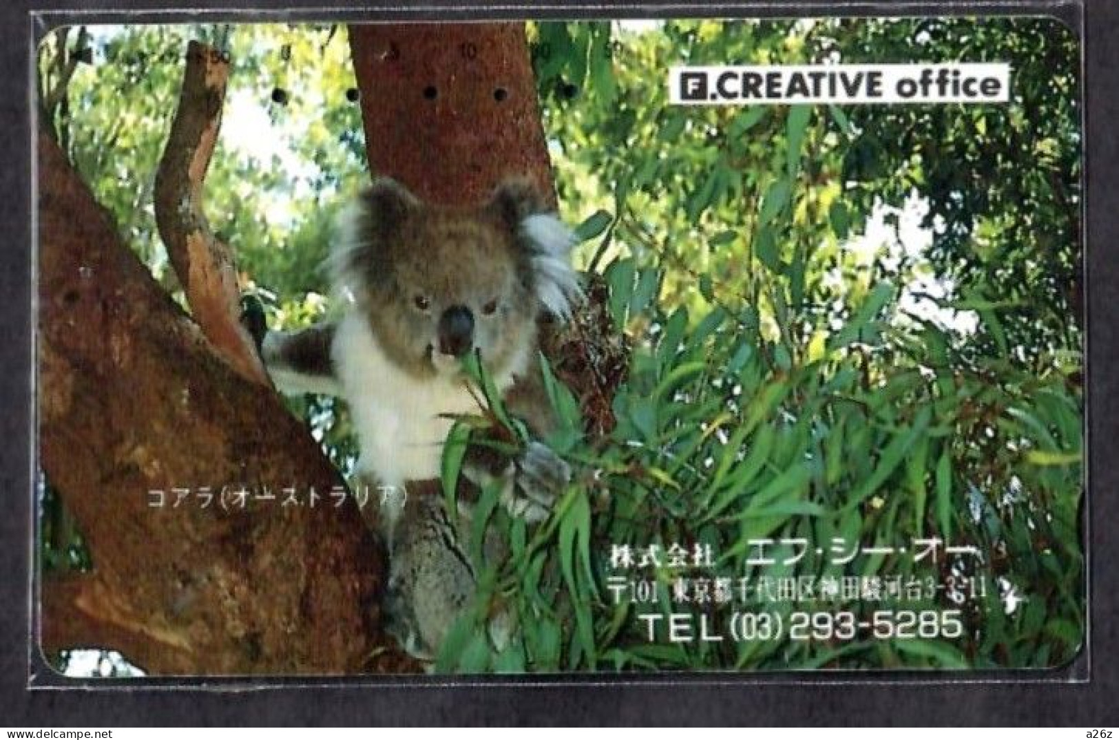 Japan 1V Koala F. Creative Office Advertising Used Card - Giungla