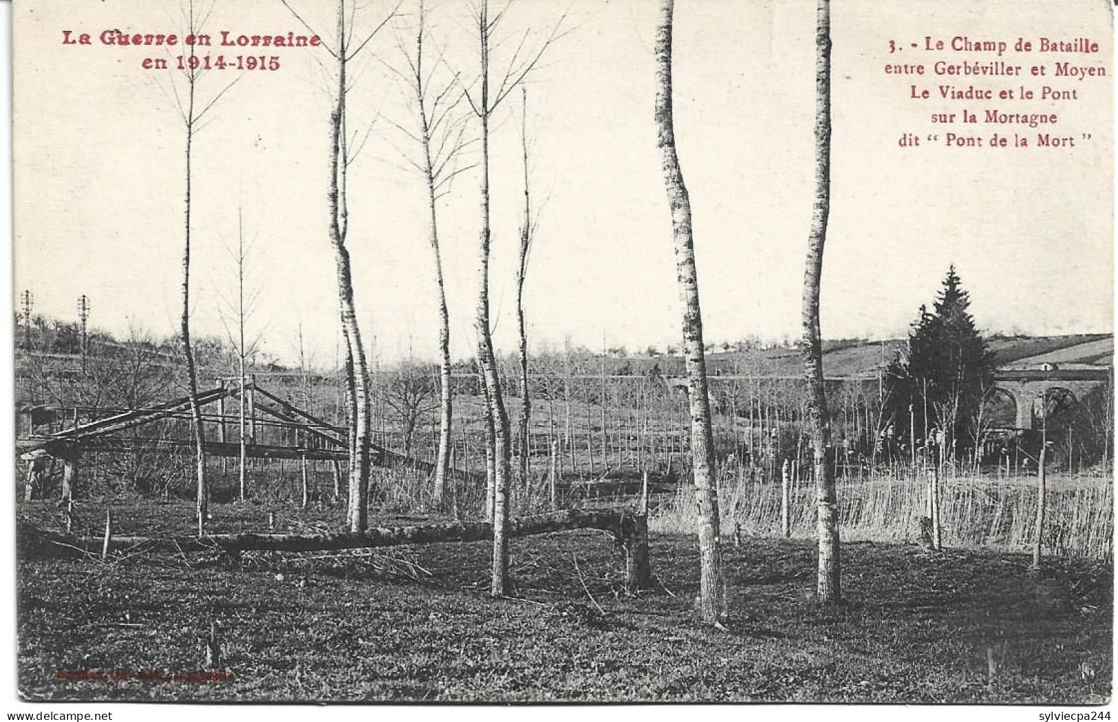 54 - ENTRE GERBEVILLER ET MOYEN - LE CHAMP DE BATAILLE - LE VIADUC ET LE PONT SUR LA MORTAGNE - Gerbeviller