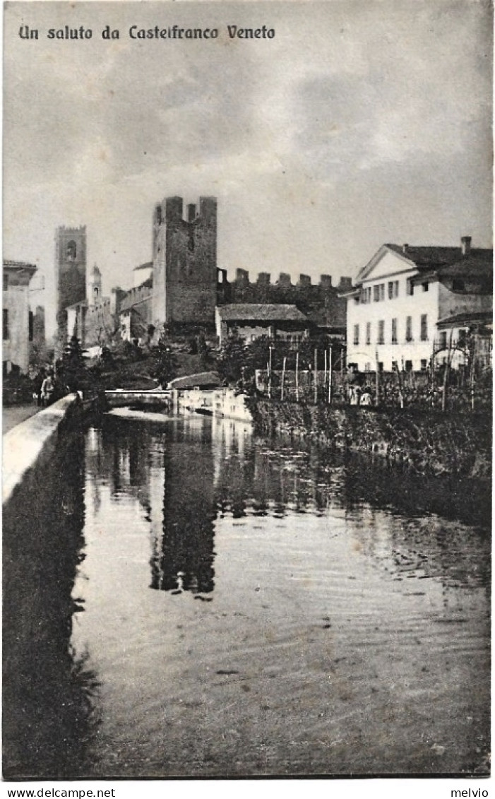 1910circa-Treviso Un Saluto Da Castelfranco Veneto - Treviso