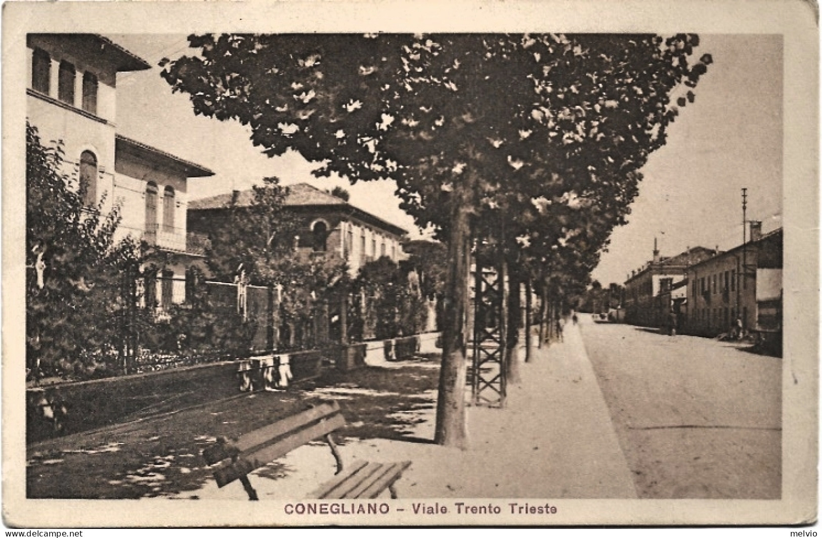 1921-Treviso Conegliano Viale Trento E Trieste, Viaggiata Francobolli Asportati - Treviso