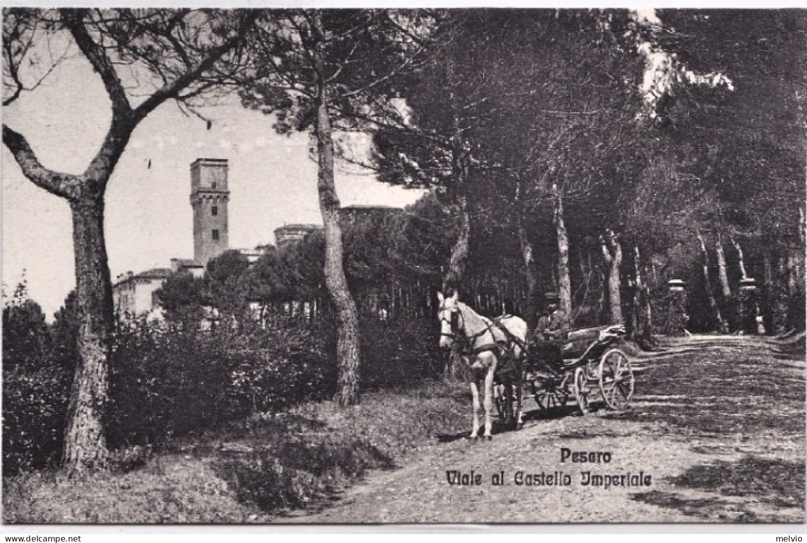 1920circa-Pesaro Viale Al Castello Imperiale - Pesaro