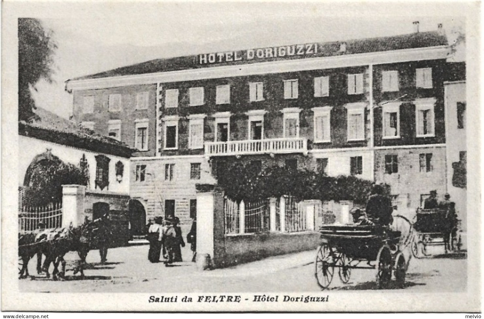 1910circa-Belluno Saluti Da Feltre Hotel Doriguzzi - Belluno