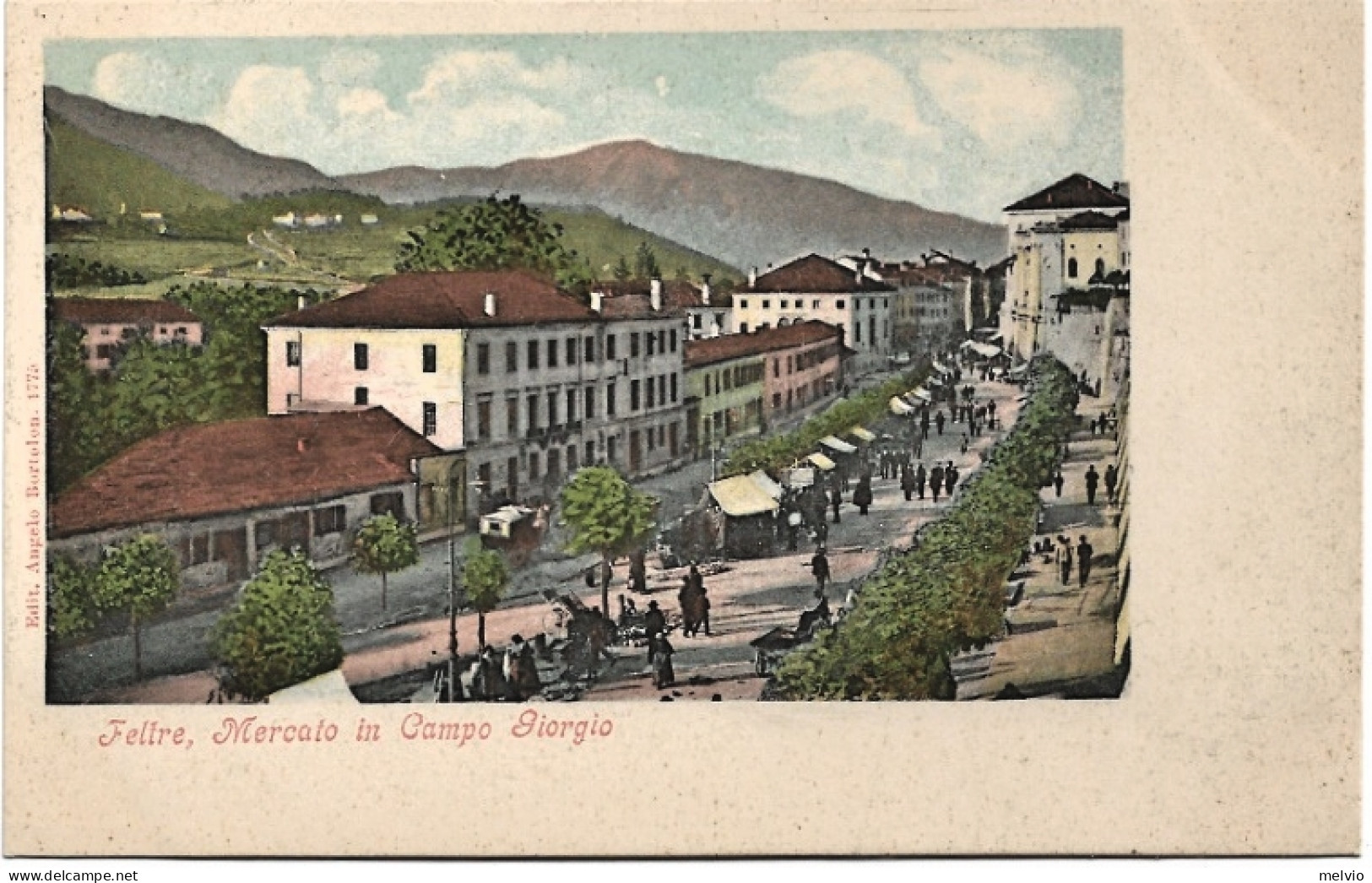 1900circa-(BL) Feltre, Mercato In Campo S.Giorgio - Belluno