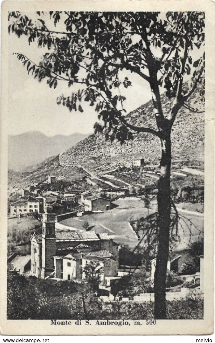 1946-Verona Monte Di S.Ambrogio - Verona