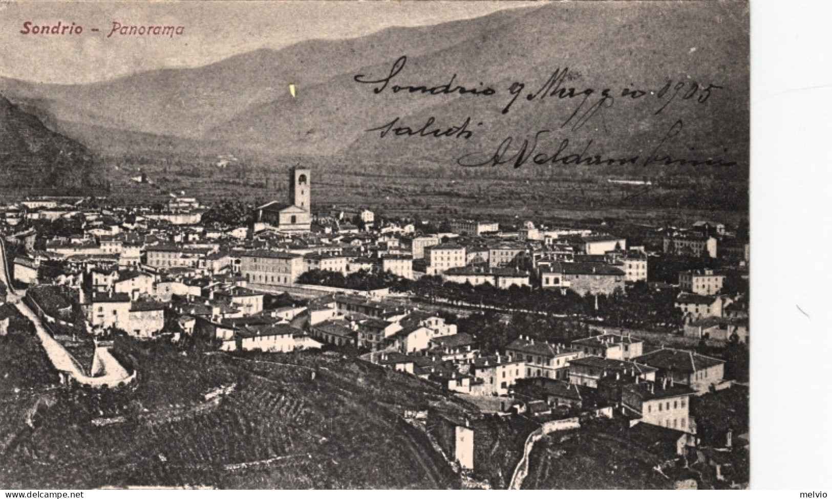 1905-Sondrio, Panorama, Viaggiata - Sondrio