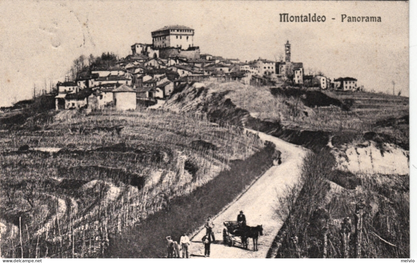 1923-Montaldeo Alessandria, Panorama, Viaggiata - Alessandria