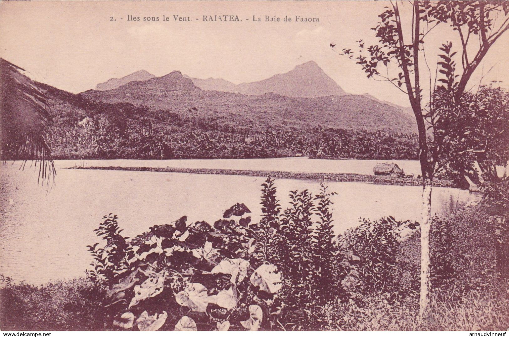 RAIATEA LA BAIE DE FAAORA - Polynésie Française