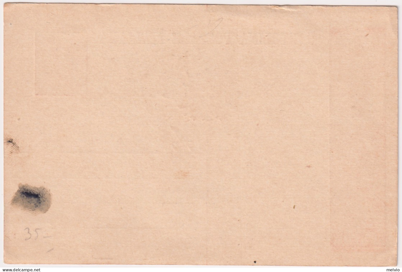 1924-Propaganda Del P.N.F. 30c.arancio Senza Millesimo Macchie D'inchiostro - Stamped Stationery