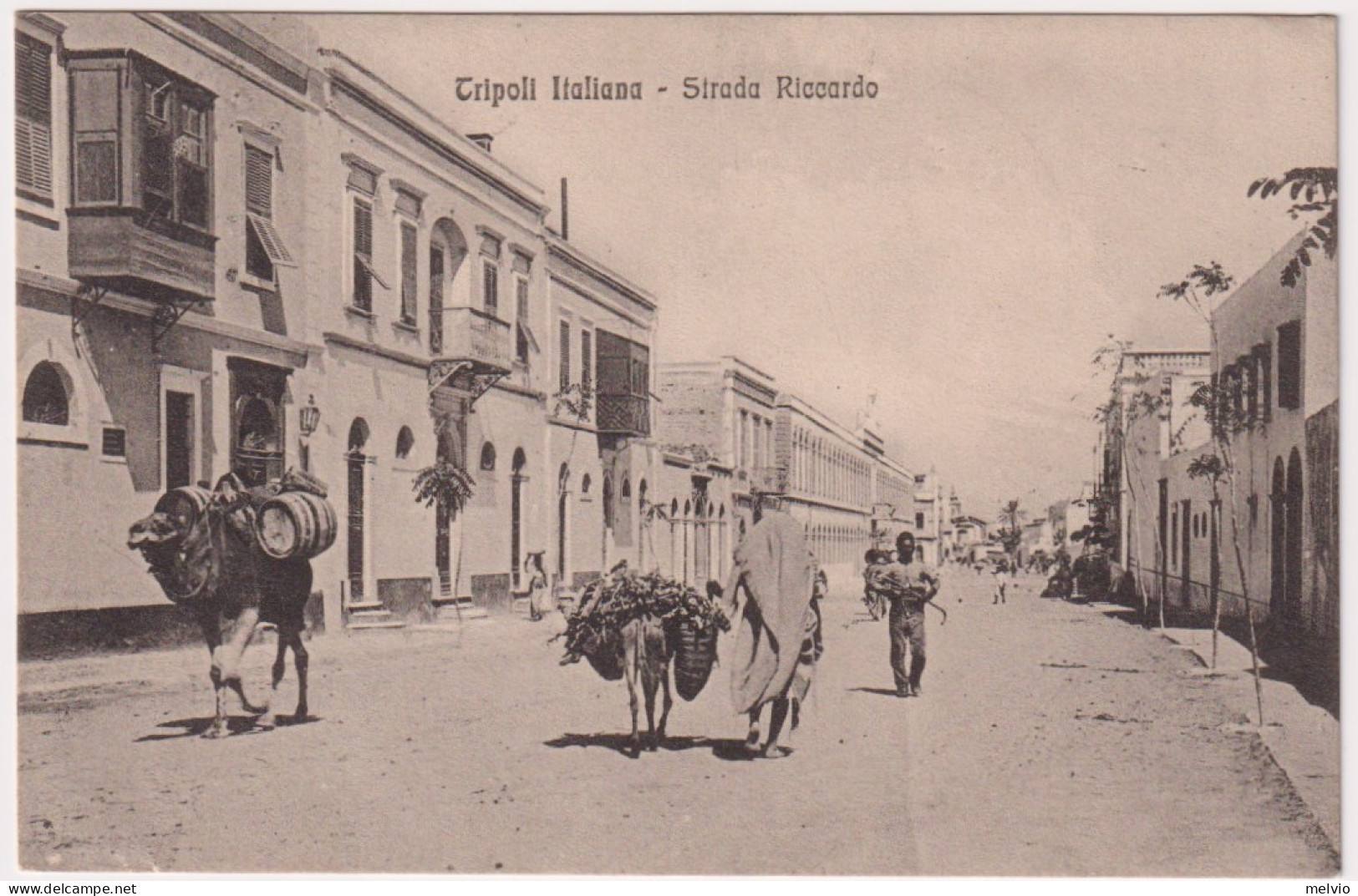 1912-Tripoli Italiana Strada Riccardo Annullo Divisione Tripolitania Del 22.3 Di - Tripolitania