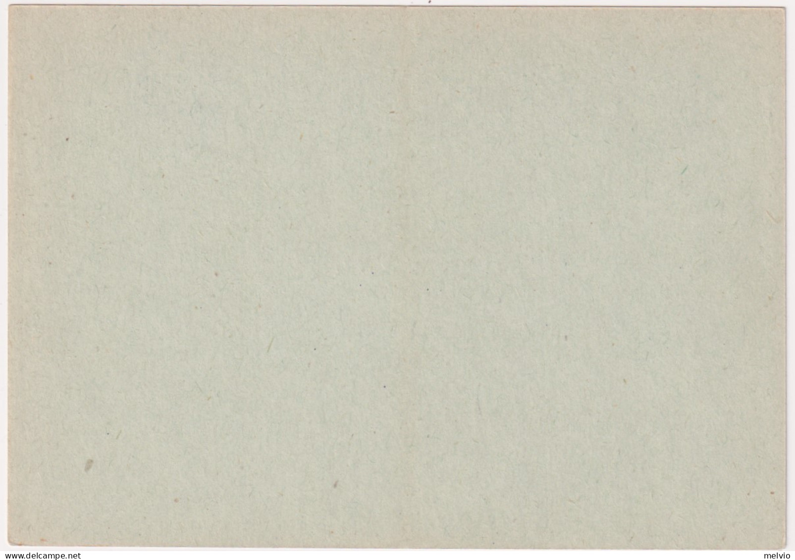 1944-cartolina Postale Franchigia Cartiglio Grande E Formulario Verticale - Ganzsachen