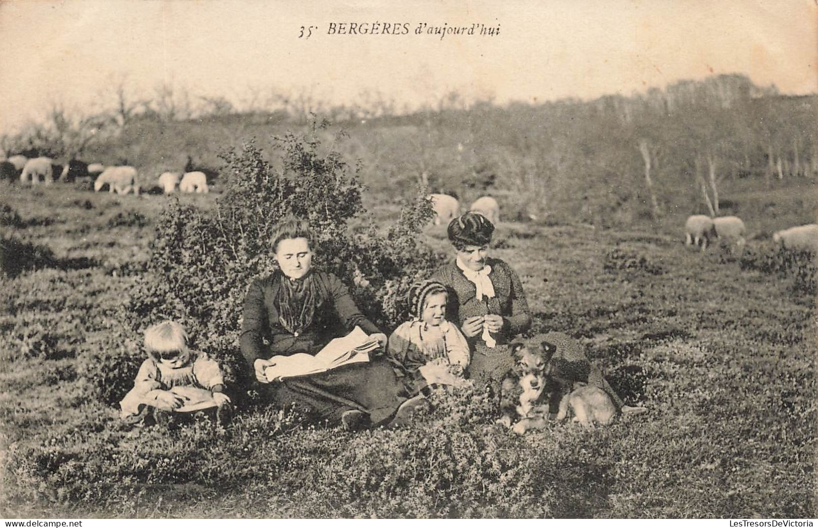 METIERS - Bergères D'aujourd'hui - Animé - Carte Postale Ancienne - Bauern