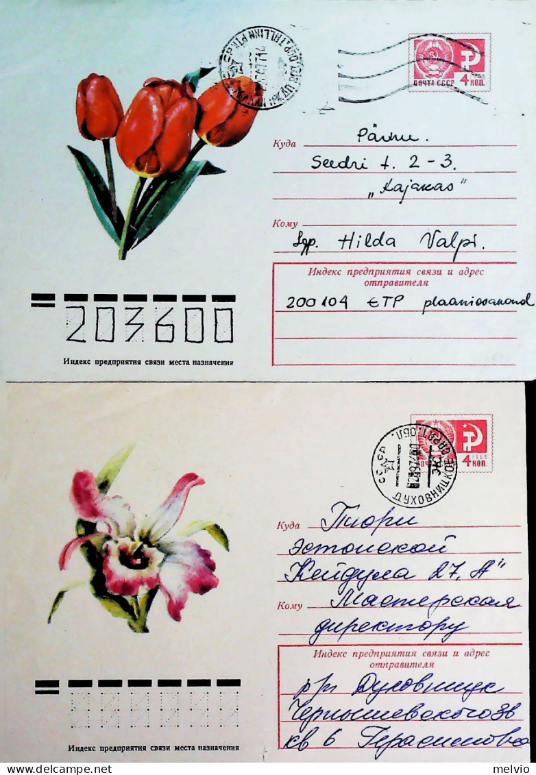 1979-RUSSIA Lotto Cinque Buste Postali K.4 Differenti Soggetto FIORI Usati - Andere & Zonder Classificatie