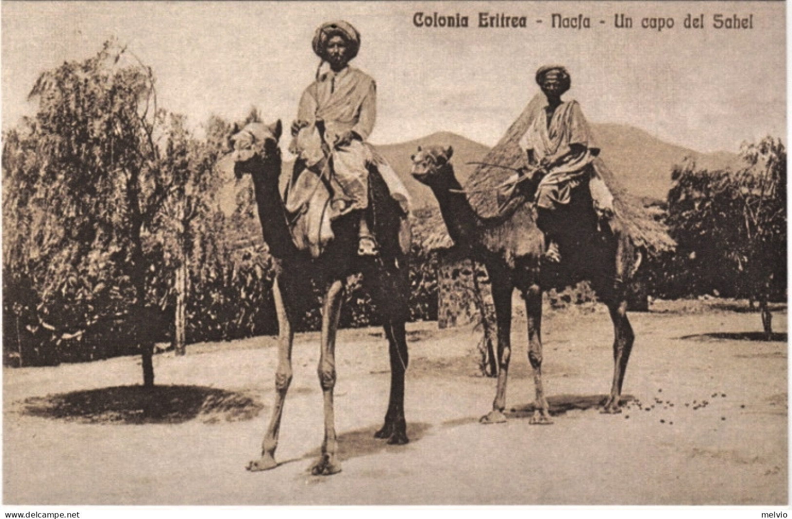 1920circa-Colonia Eritrea Nacja Un Capo Del Sahel - Erythrée