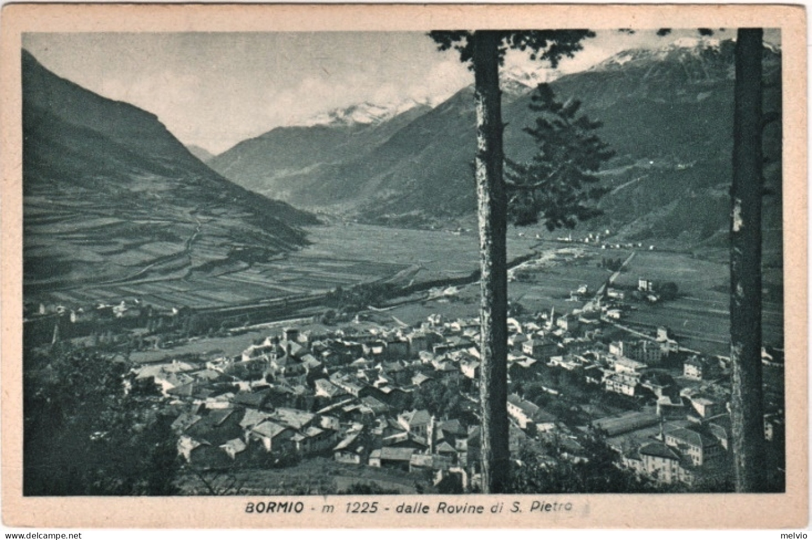 1943-Bormio (Sondrio) Veduta Dalle Rovine Di San Pietro Cartolina Viaggiata - Sondrio