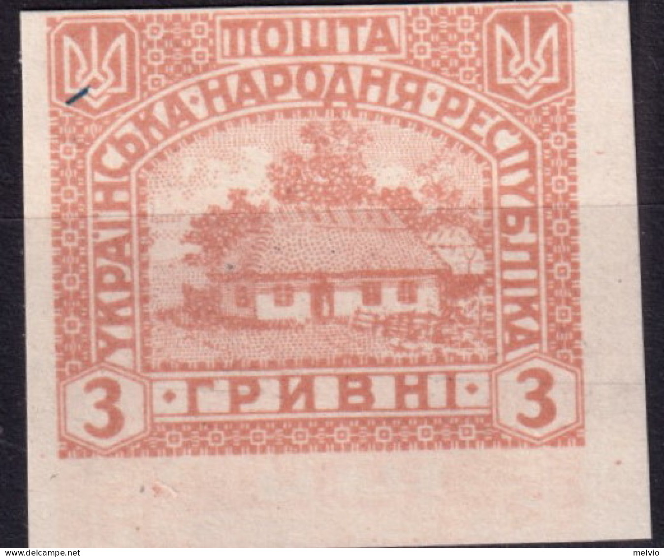 1920/21-Ucraina (NG=not Gummed) Prova Di Stampa Non Dentellata E Non Gommata (no - Ucrania