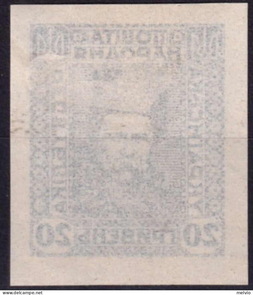 1920/21-Ucraina (MLH=*) 20gr. Non Dentellato - Ukraine