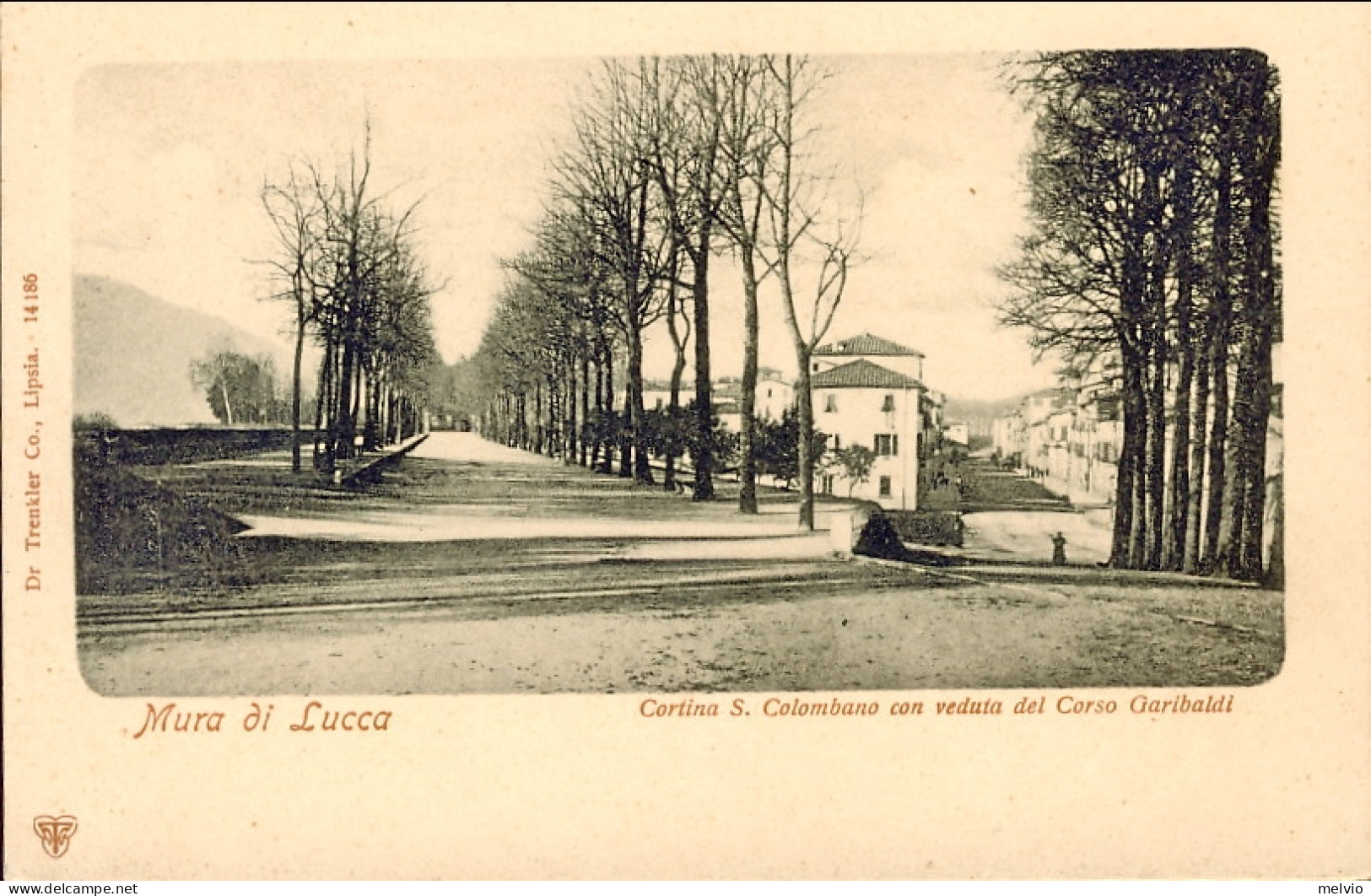 1930ca.-"Mura Di Lucca-Cortina S.Colombano Con Veduta Del Corso Garibaldi" - Lucca