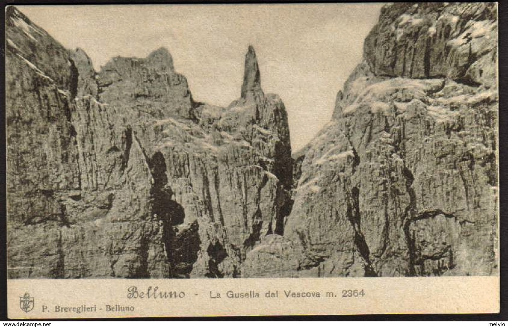 1920circa-"Belluno,La Gusella Del Vescova M.2364" - Belluno