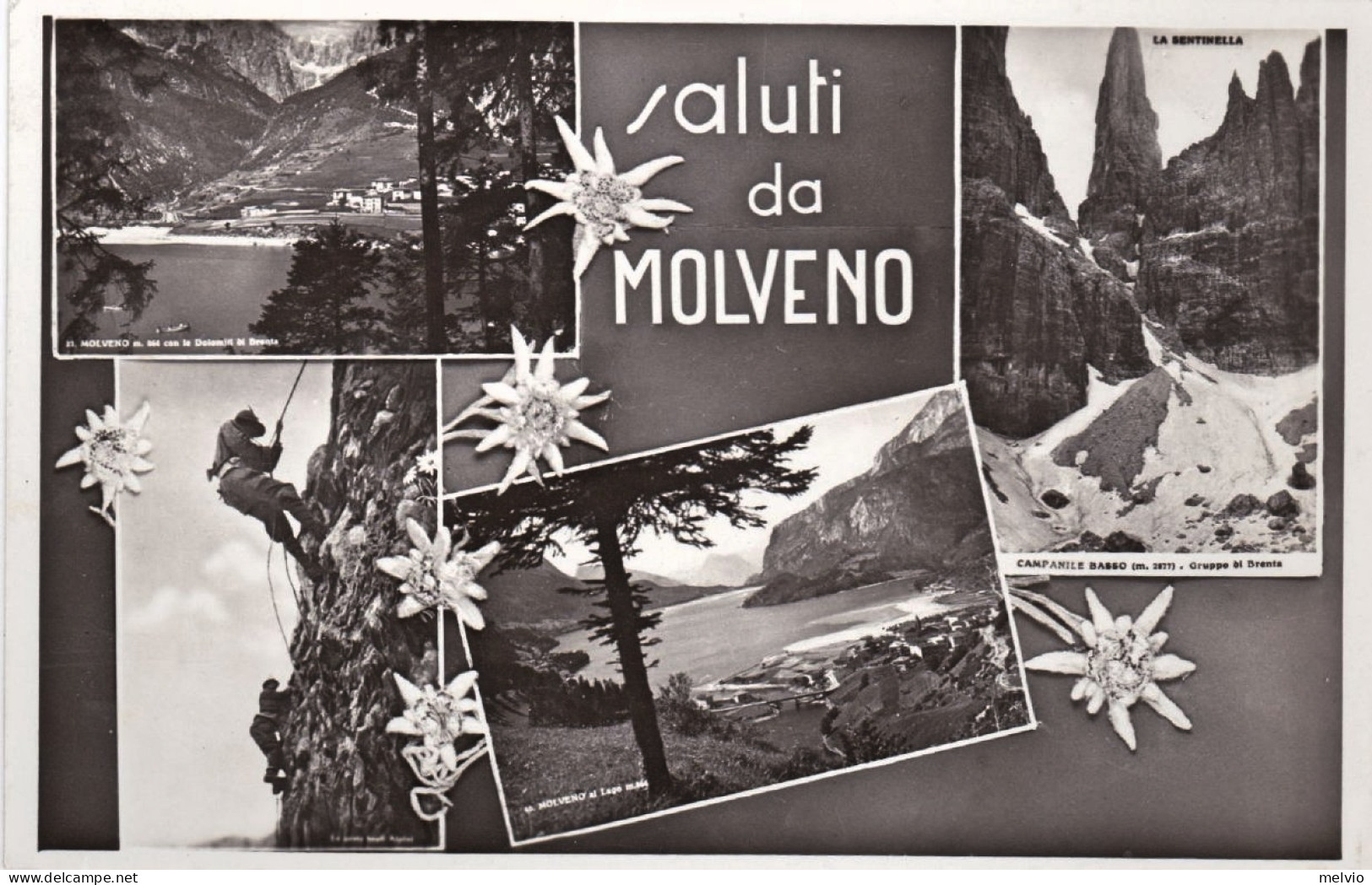 1943-Trento Saluti Da Molveno, Viaggiata - Trento