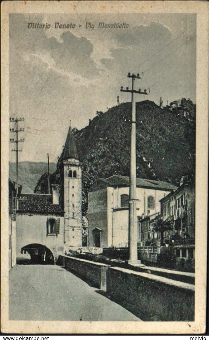 1931-"Vittorio Veneto,Via Meschietto" - Treviso