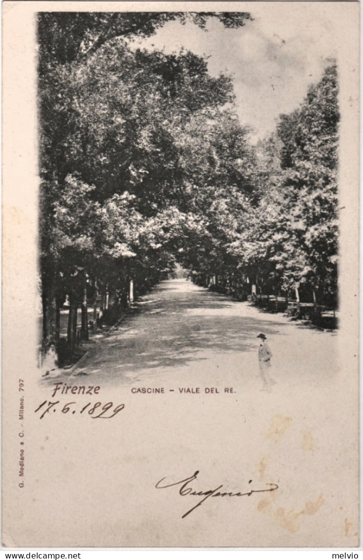 1899-Firenze Cascine Viale Del Re, Viaggiata - Firenze (Florence)