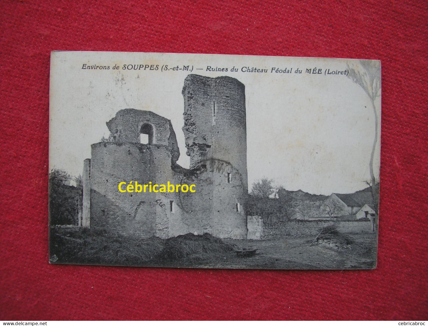 LCP29 - Environs De SOUPPES - Ruines Du Château Féodal Du Mée - Souppes Sur Loing