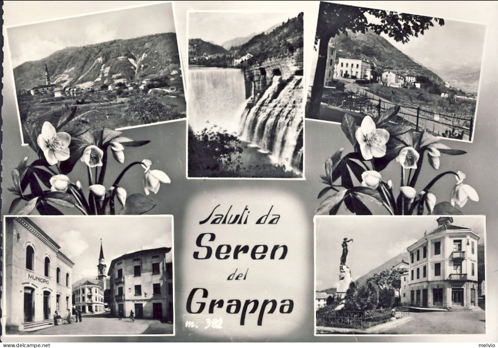 1959-Belluno Saluti Da Seren Del Grappa, Viaggiata - Belluno