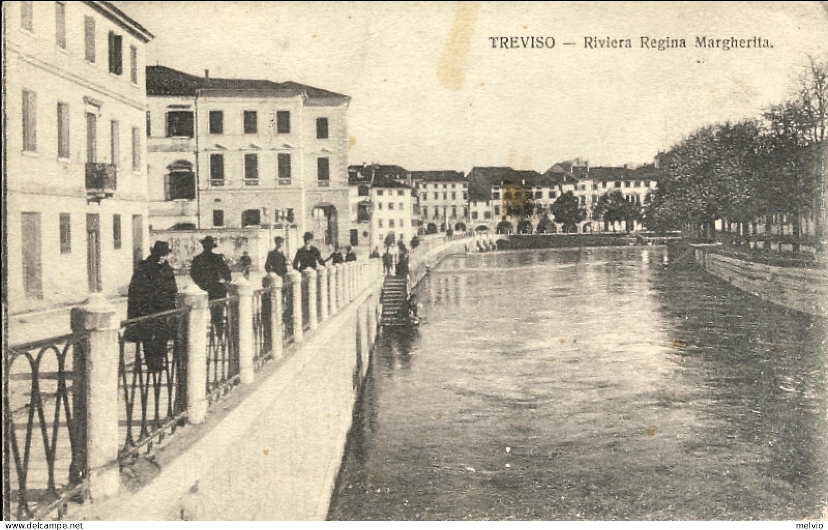 1919-Treviso Riviera Regina Margherita, Viaggiata - Treviso
