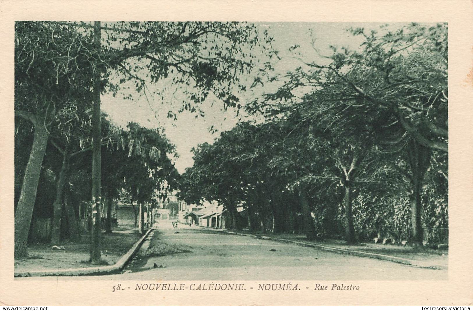 NOUVELLE CALEDONIE - Nouméa - Vue Sur La Rue Palestro - Carte Postale Ancienne - Nouvelle-Calédonie