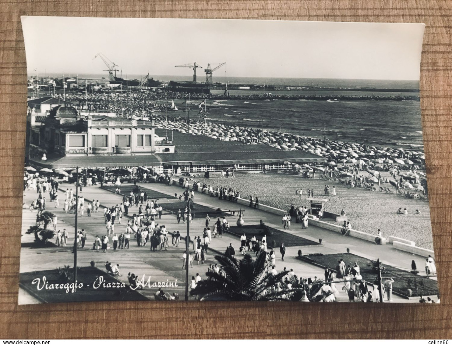  Viareggio Place Mazzini  - Viareggio