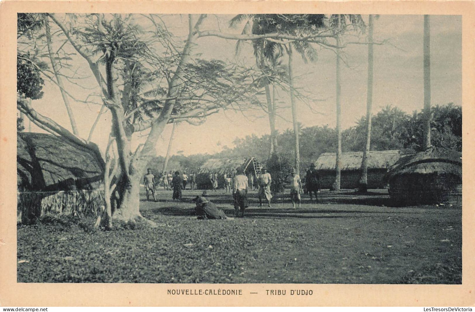 NOUVELLE CALEDONIE - Nouméa - Tribu D'Udj - Animé - Carte Postale Ancienne - Nouvelle-Calédonie