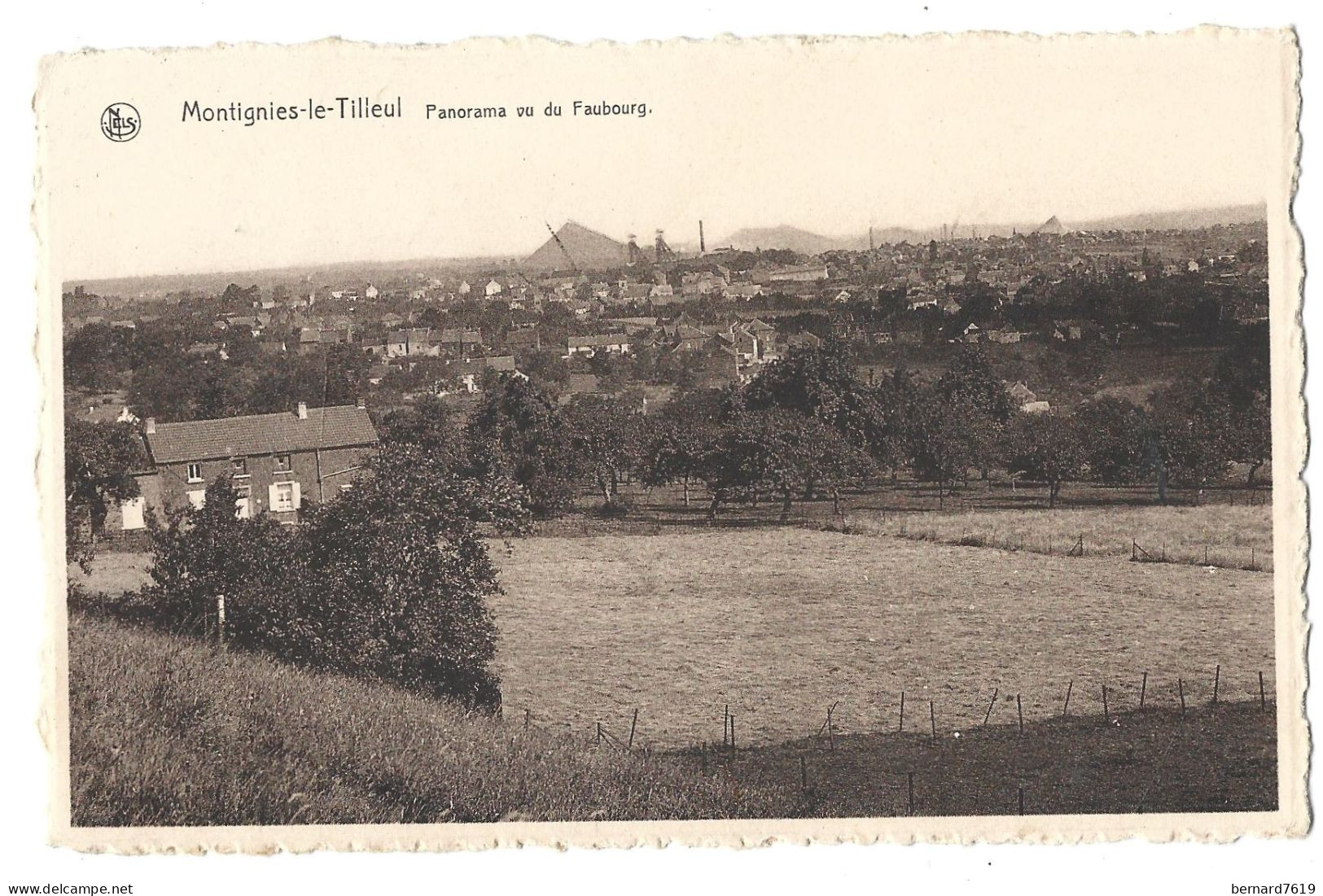 Belgique -  Montignies Le Tilleul - Panorama Vu Du Faubourg - Momignies