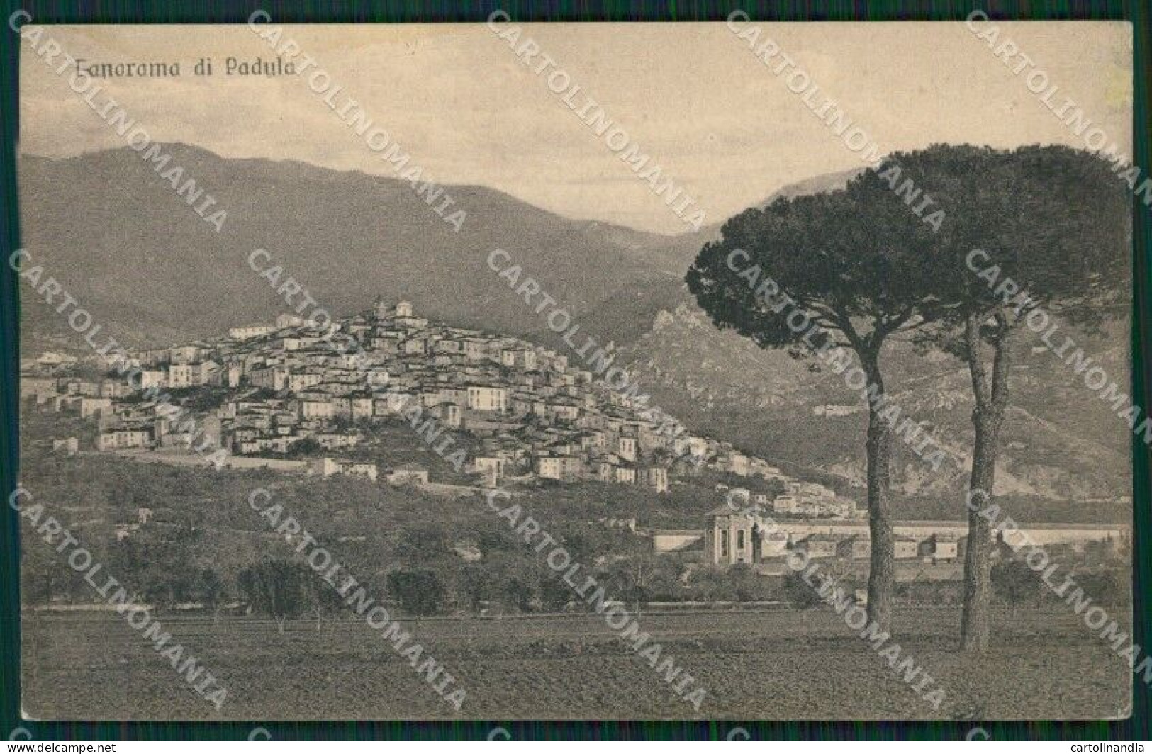 Salerno Padula MACCHIA Cartolina ZKM9985 - Salerno