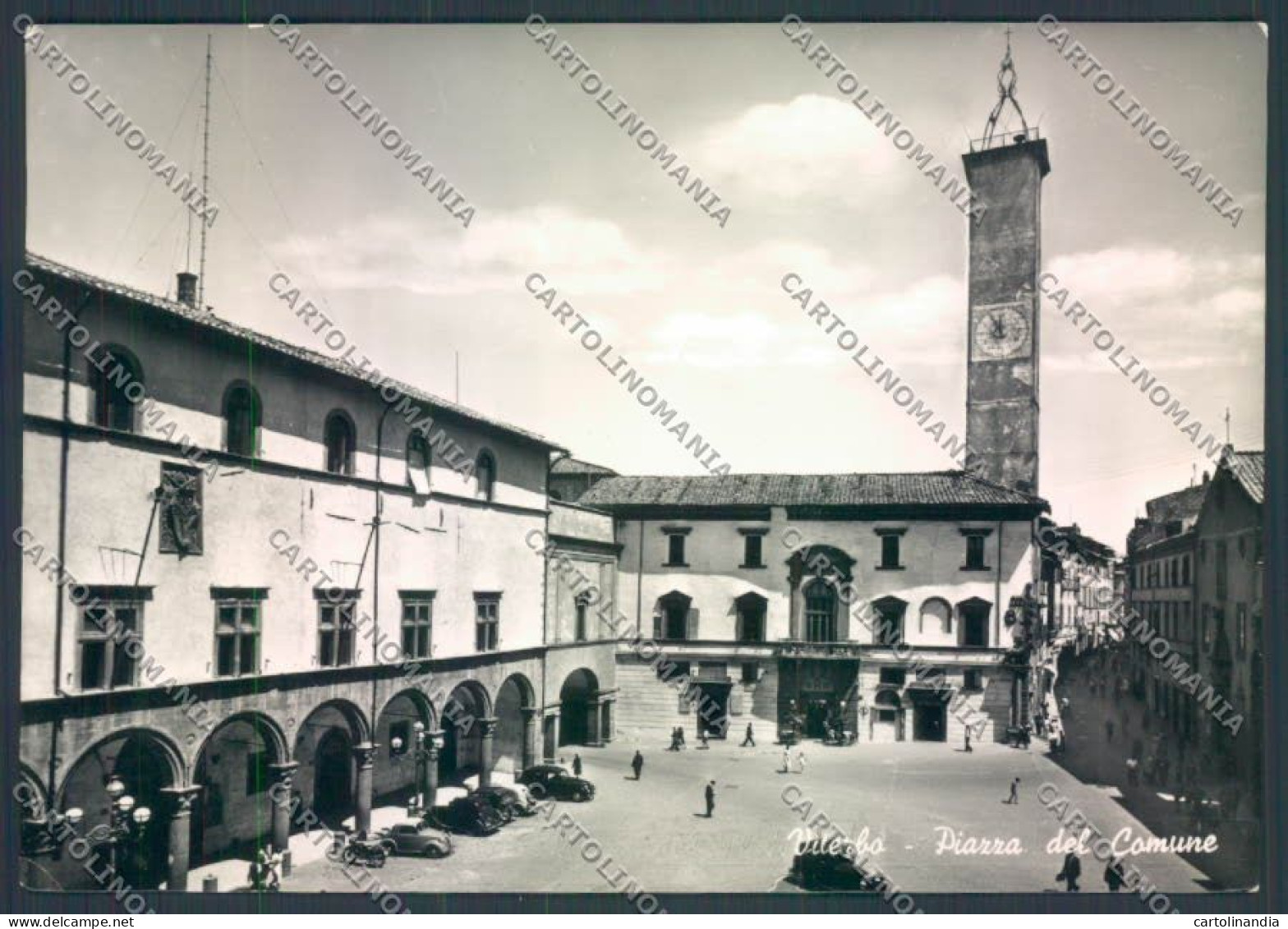 Viterbo Città Foto FG Cartolina ZF8668 - Viterbo