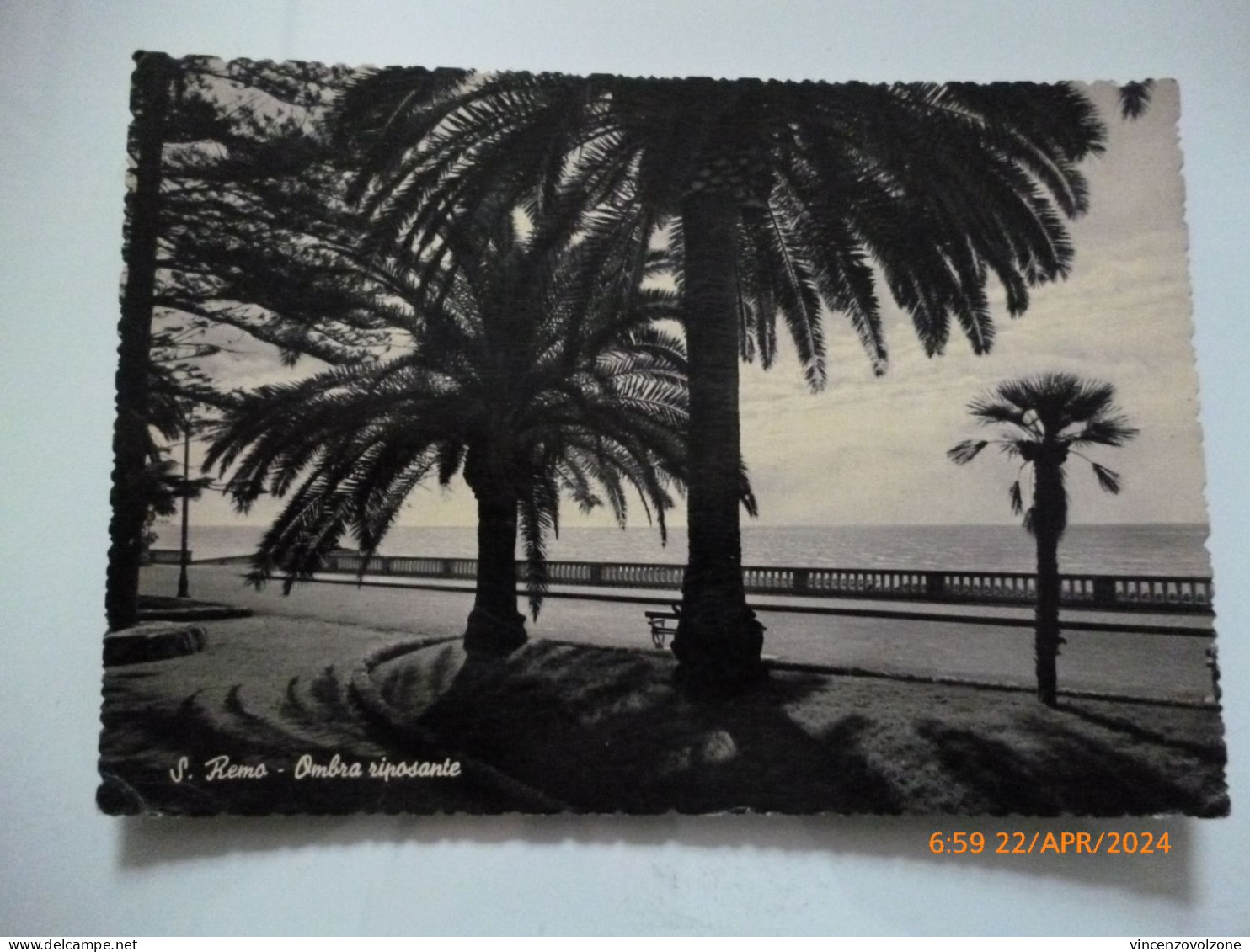 Cartolina Viaggiata "SAN REMO Ombra Riposante" 1953 - San Remo