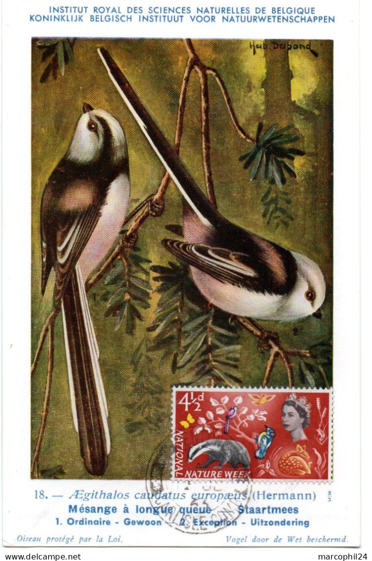 OISEAU / Mésange à Longue Queue =  GRANDE BRETAGNE 1963 = CARTE MAXIMUM CARD + N° Yvert 374 / NATIONAL NATURE WEEK - Werbestempel