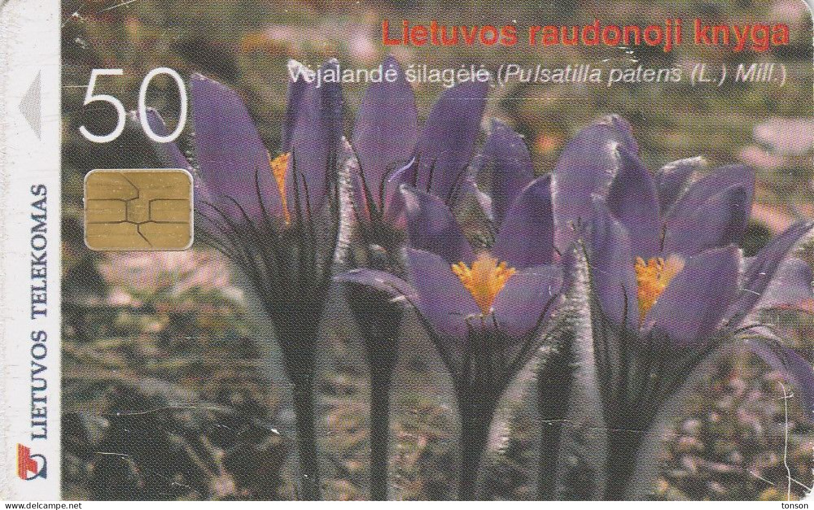 Lithuania, LTU-C43, Pasque-Flower, 2 Scans. - Lithuania