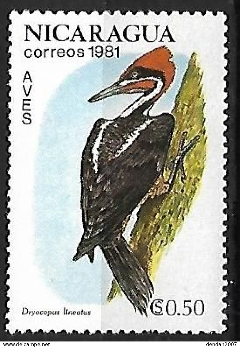 Nicaragua - Mint Hinged 1981 :    Lineated Woodpecker  -  Dryocopus Lineatus - Picchio & Uccelli Scalatori