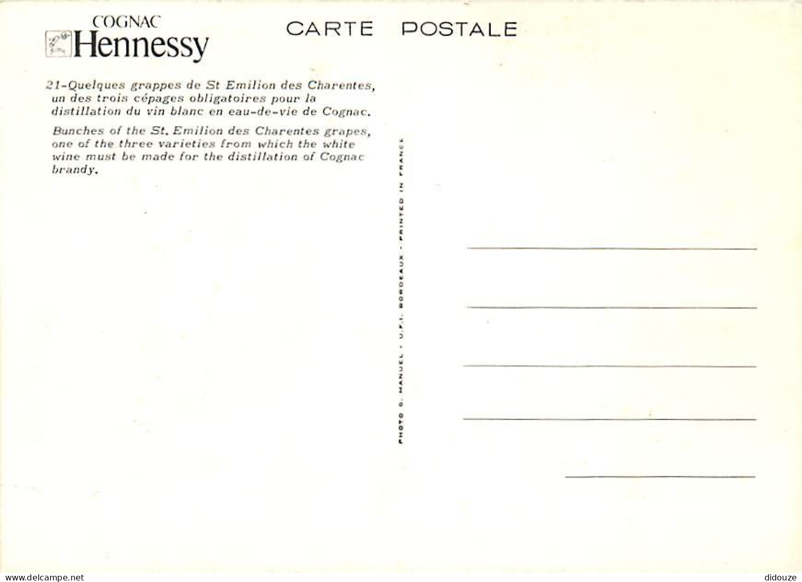 Vignes - Cognac Hennessy - Raisins - CPM - Carte Neuve - Voir Scans Recto-Verso - Vigne