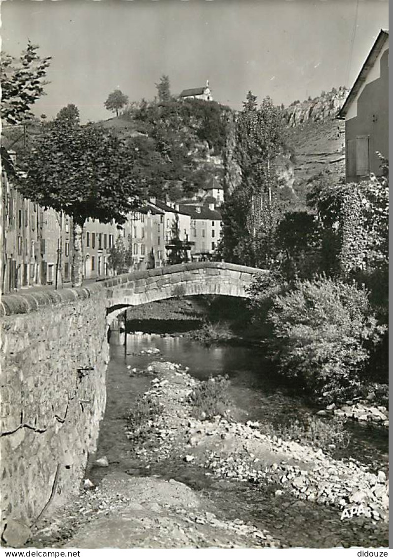 48 - Meyrueis - Vieux Pont Sur Le Bétuzon - Au Fond Le Rocher De La Vierge - Mention Photographie Véritable - Carte Dent - Meyrueis