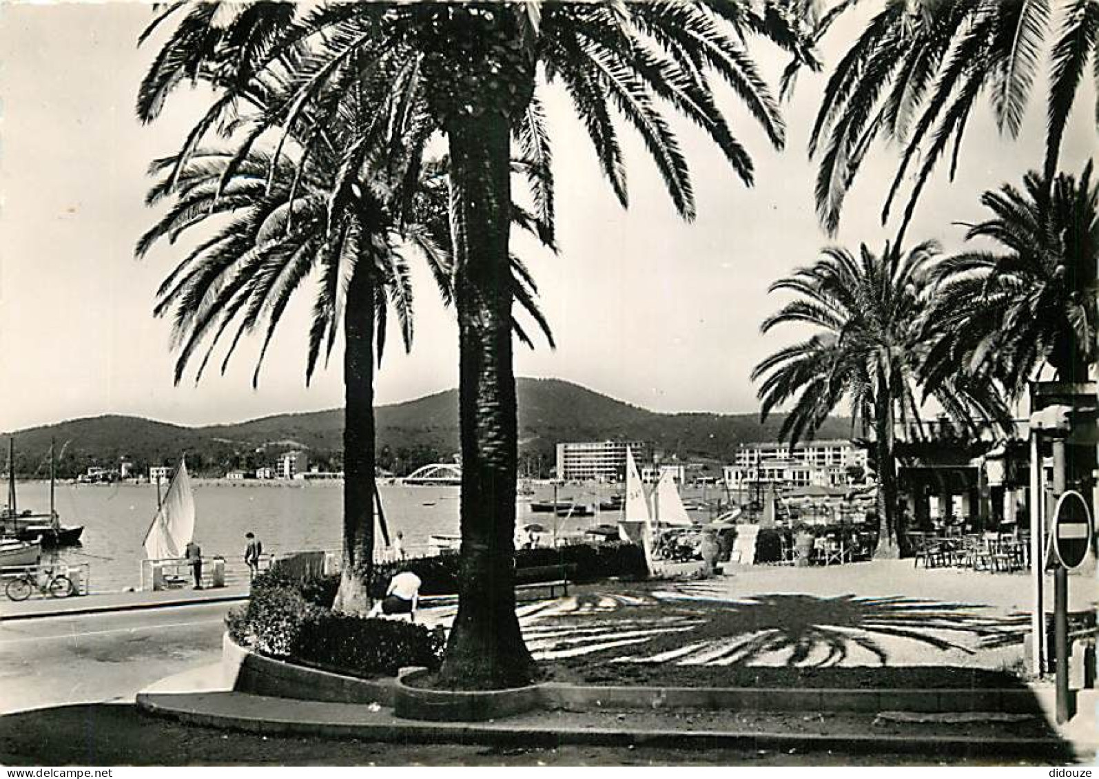 83 - Sainte Maxime Sur Mer - Place Des Palmiers - Mention Photographie Véritable - CPSM Grand Format - Carte Neuve - Voi - Sainte-Maxime