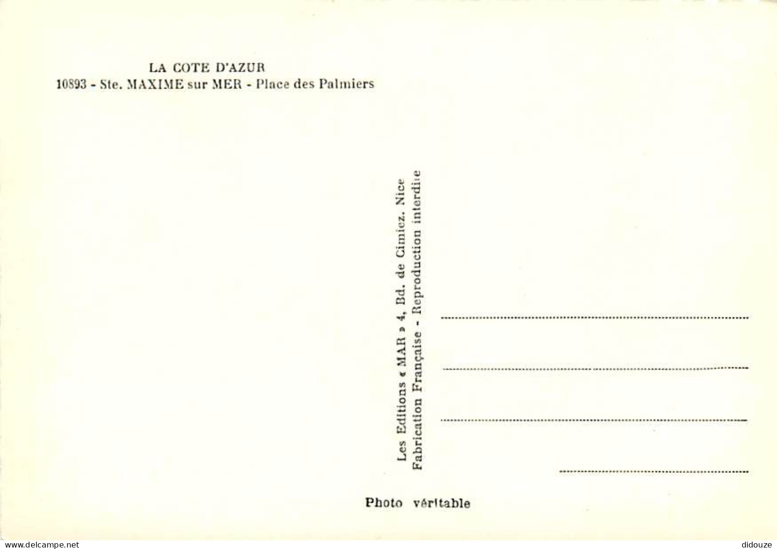 83 - Sainte Maxime Sur Mer - Place Des Palmiers - Mention Photographie Véritable - CPSM Grand Format - Carte Neuve - Voi - Sainte-Maxime