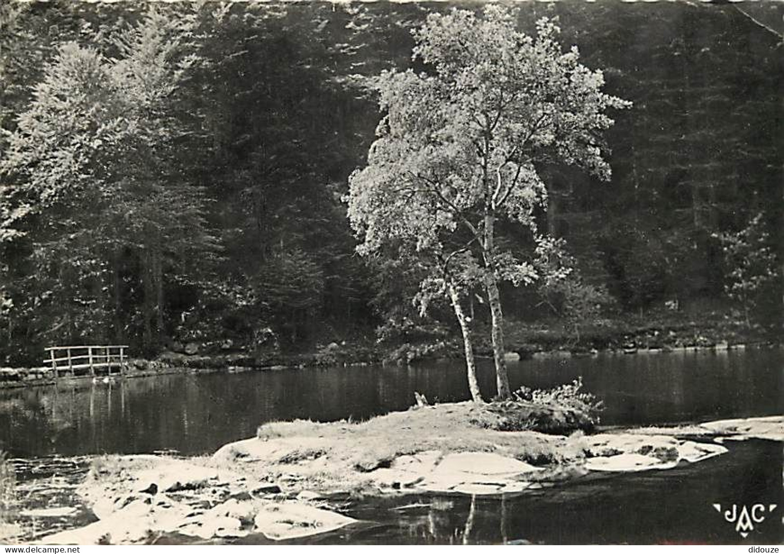 68 - Munster - Vallée De Munster - Le Fischboedle - CPSM Grand Format - Voir Scans Recto-Verso - Munster