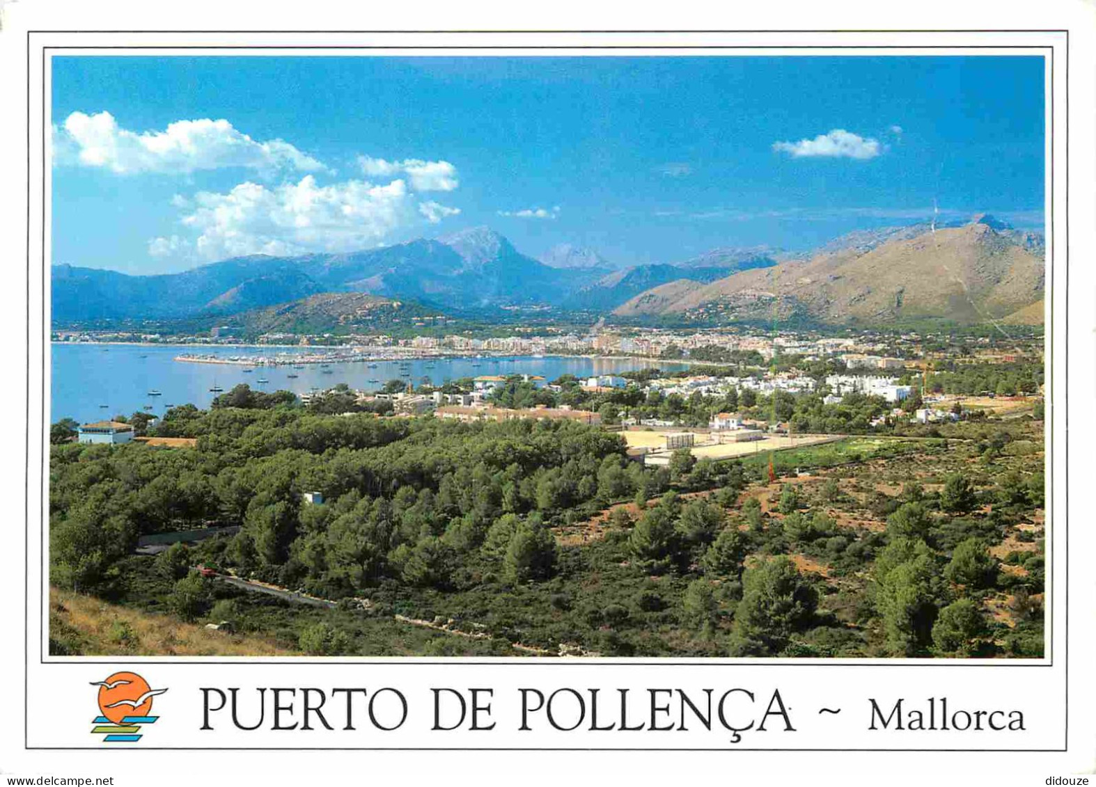 Espagne - Espana - Islas Baleares - Mallorca - Pollensa - Puerto De Pollensa - CPM - Voir Scans Recto-Verso - Mallorca