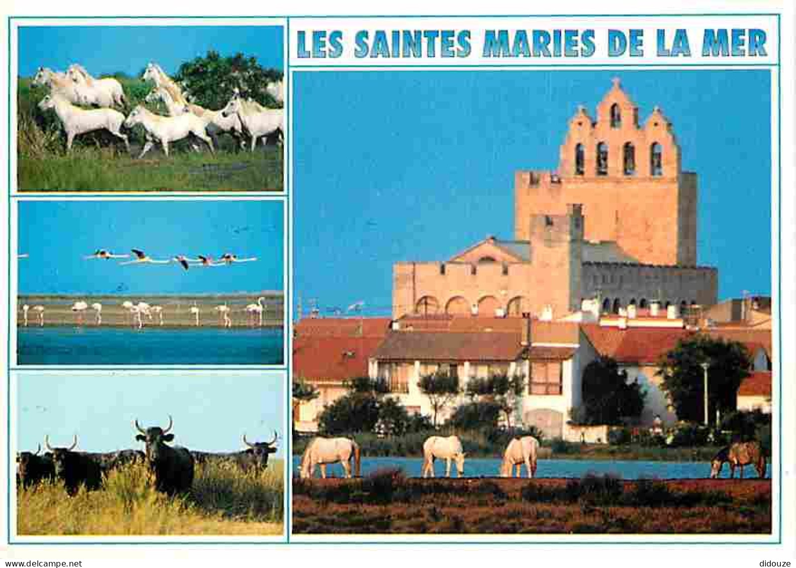 13 - Les Saintes Maries De La Mer - Multivues - Chevaux - Taureaux - CPM - Voir Scans Recto-Verso - Saintes Maries De La Mer
