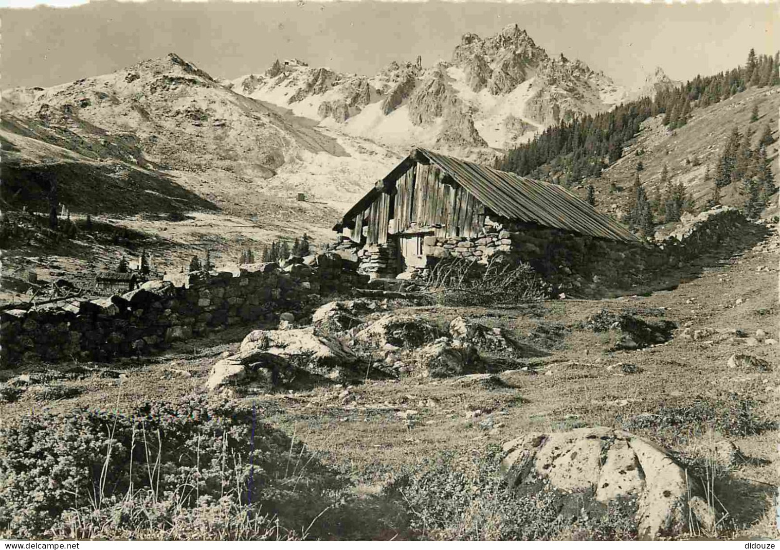 73 - Courchevel - Vieille Cabane Au Biollay - Au Fond Le Téléphérique De La Saulire Et La Dent De Burgin 2750 M - Carte  - Courchevel