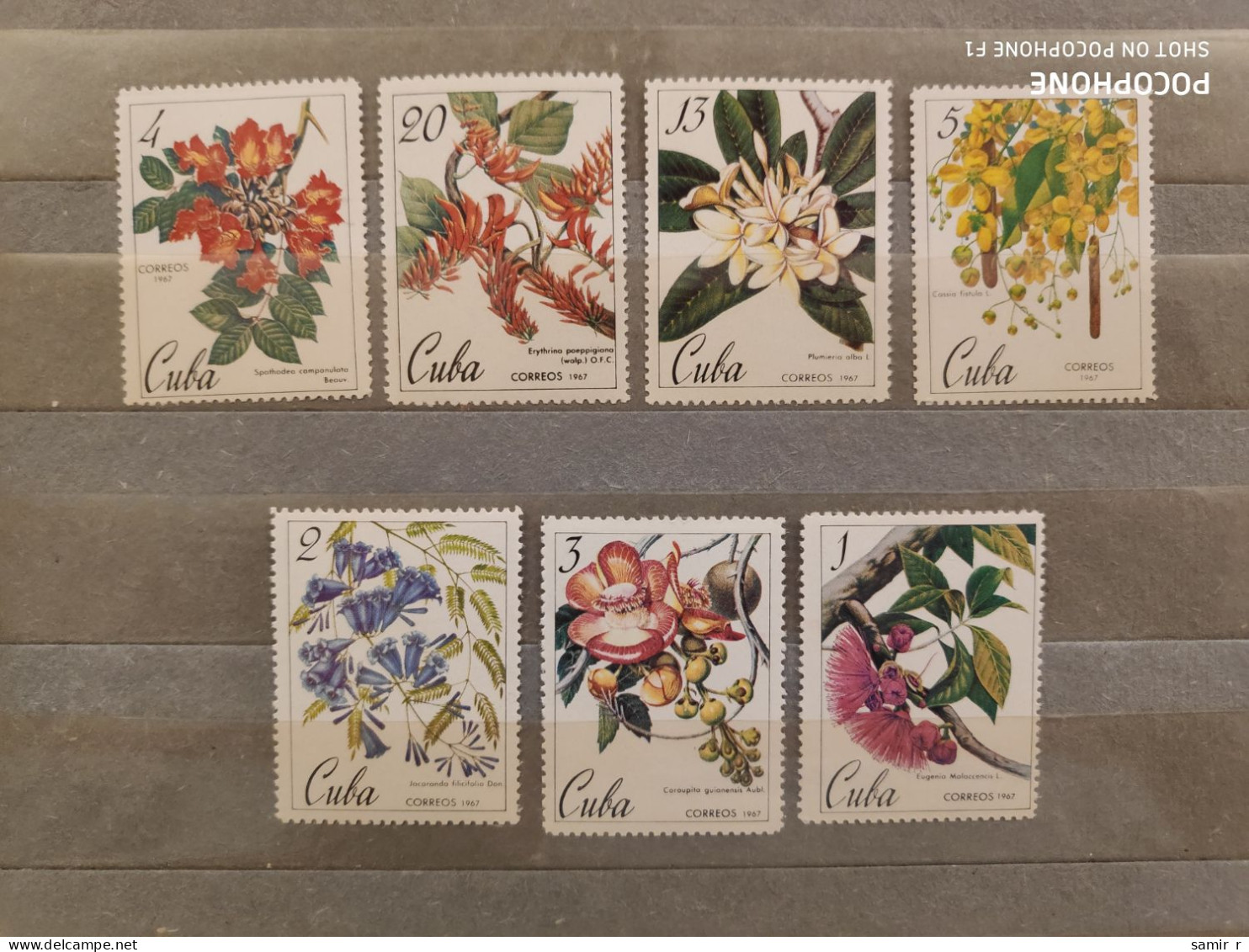 1967	Cuba	Flowers (F89) - Unused Stamps