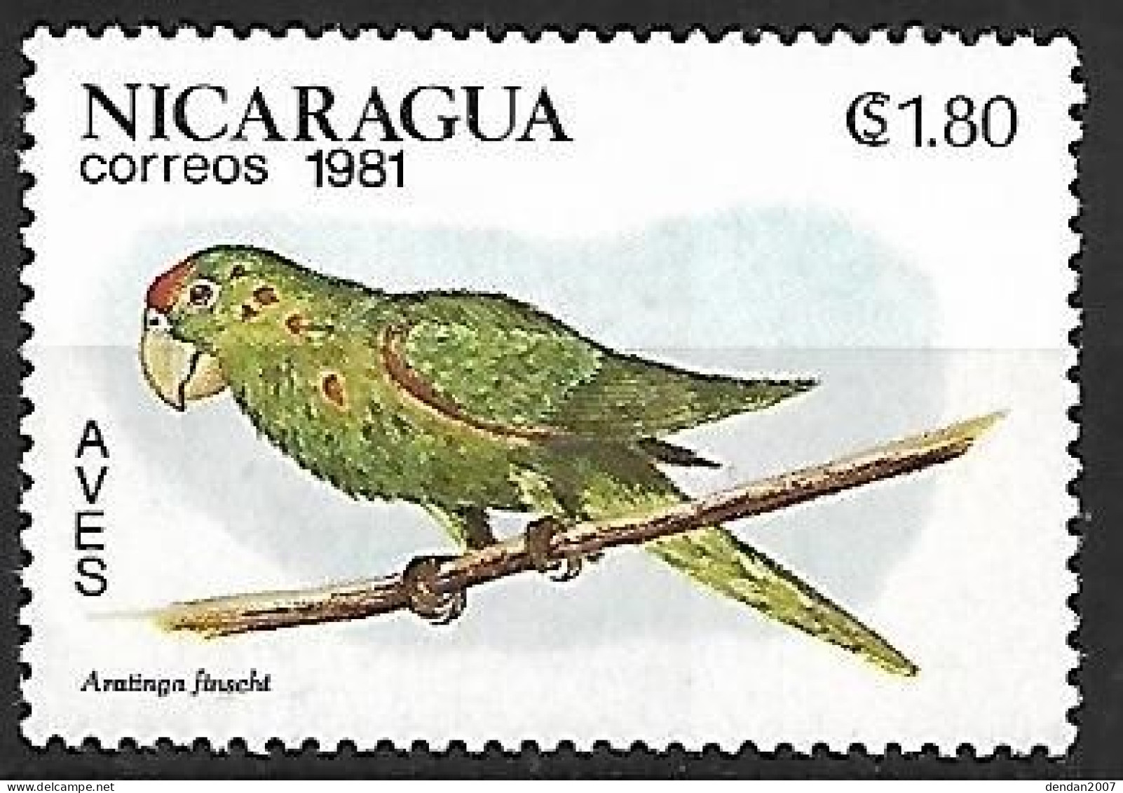 Nicaragua - Mint Hinged 1981 :   Finsch's Parakeet  -  Psittacara Finschi - Perroquets & Tropicaux