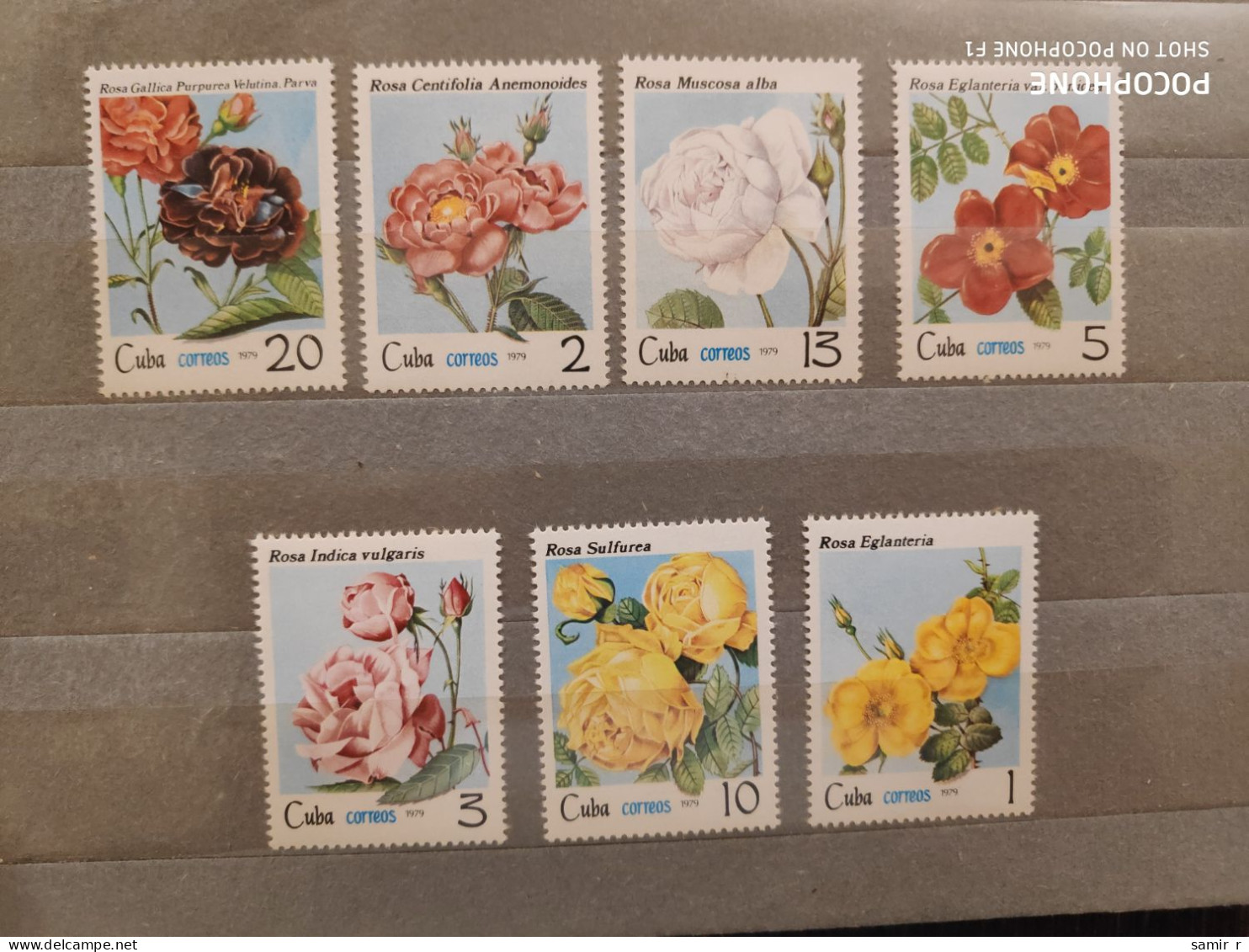 1979	Cuba	Flowers (F89) - Unused Stamps