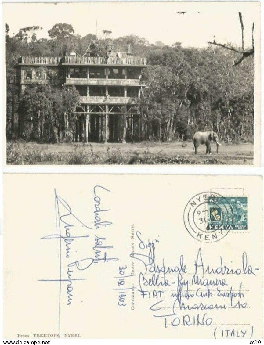 Kenya Treetops Hotel With Elephant In Nyeri B/w PPC 30dec1963 To Italy With C.65 Solo - Kenya